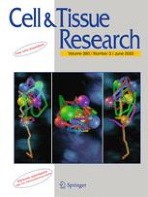 Elaborations Figurees De La Cellule Nerveuse Etude Du Ganglion Rachidien Chez Le Chat Springerlink