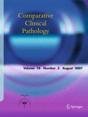 Comparative Clinical Pathology Springer - 