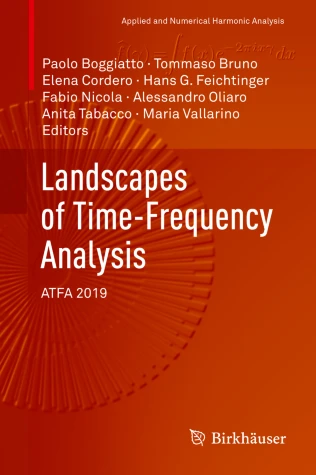 A Time–Frequency Analysis Perspective on Feynman Path Integrals