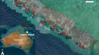Coral bleaching and mass mortality at Lizard Island revealed by drone imagery