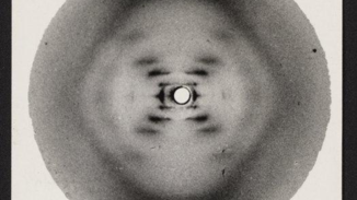 Photograph 49 is the Key to Understanding the History of Rosalind Franklin’s DNA Photograph 51