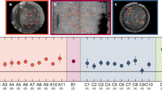 Individual locomotor bias drives counterclockwise motion in pedestrian crowds