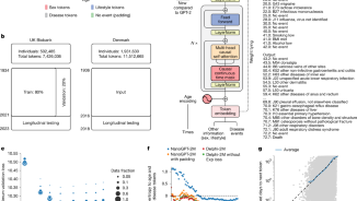 Learning the natural history of human disease with generative transformers