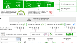 Integration of proteomic aging clocks in a phase 2a clinical trial supports simultaneous geroprotective assessment