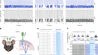 Induction of cortical on/off periods in awake mice fulfills sleep functions