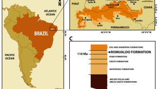 A regurgitalite reveals a new filter-feeding pterosaur from the Santana Group