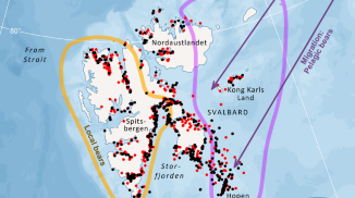Body condition among Svalbard Polar bears Ursus maritimus during a period of rapid loss of sea ice