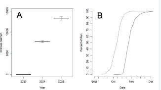 Rewilding the upper Klamath River Basin: rapid recolonization of Chinook salmon following the world’s largest dam removal