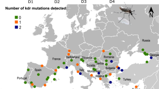 Tracking pyrethroid resistance in arbovirus mosquito vectors: mutations I1532T and F1534C in Aedes albopictus across Europe