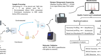 Metagenomic profiling of airborne microbial communities from aircraft filters and face masks