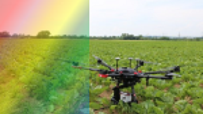 Journal Of Plant Diseases And Protection Home