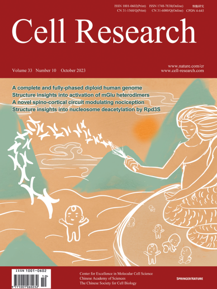 Volume 33 Issue 10, October 2023