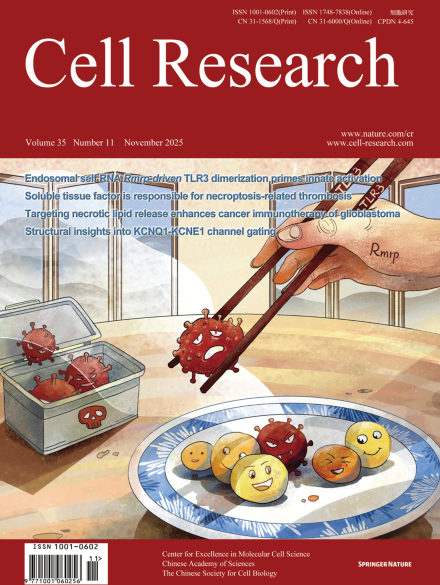 Volume 35 Issue 11, November 2025