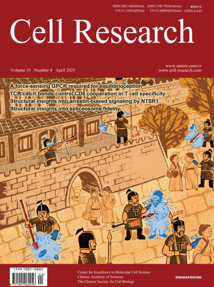 Volume 35 Issue 4