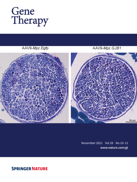 Volume 28 Issue 10-11