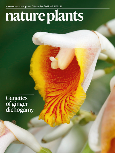 Volume 11 Issue 11, November 2025
