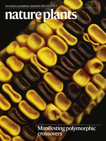 Volume 11 Issue 9, September 2025
