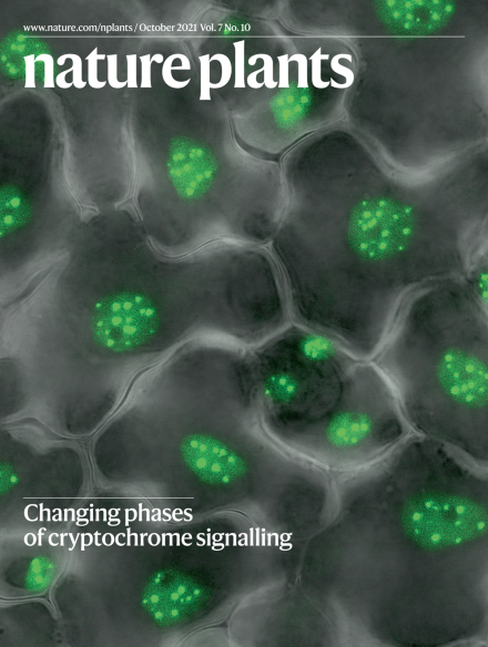 Volume 7 Issue 10, October 2021