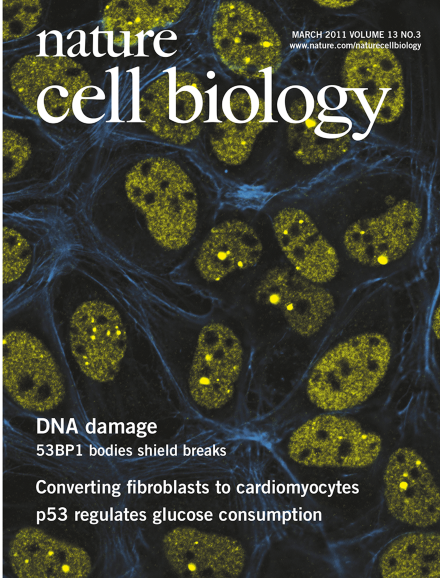 Volume 13 Issue 3, March 2011