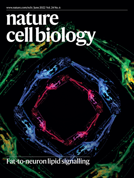 A stromal Integrated Stress Response activates perivascular cancer-associated fibroblasts to drive angiogenesis and tumour progression