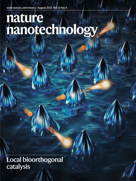 Nature Nanotechnology