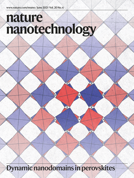 Volume 20 Issue 6