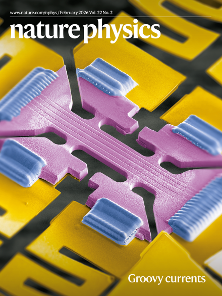 Nature Physics, February 2026 journal issue cover