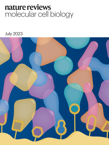 Volume 24 Issue 7, July 2023