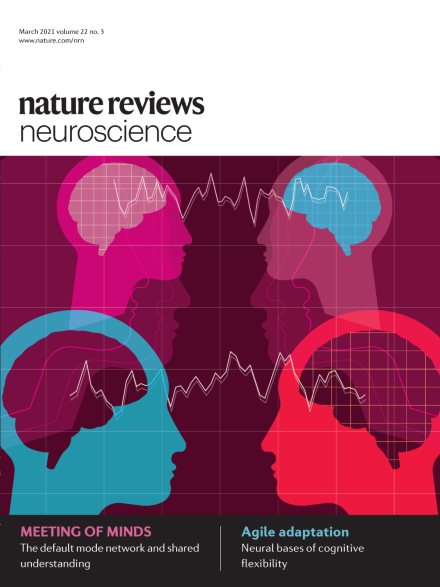 Astrocytes and the Blood-Brain Barrier Breakdown