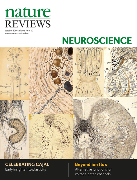 Volume 7 Issue 10, October 2006