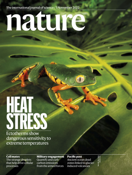 Volume 611 Issue 7934