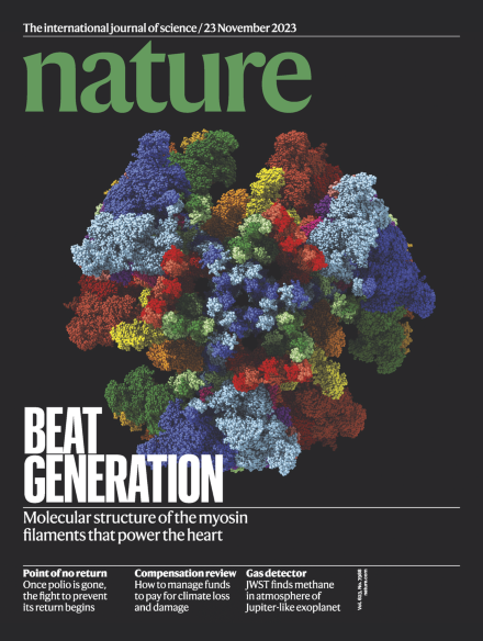 科学雑誌　nature 21冊 Volume 623 Issue 7988, 23 November 2023