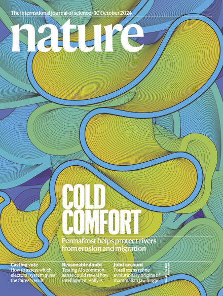 Volume 634 Issue 8033