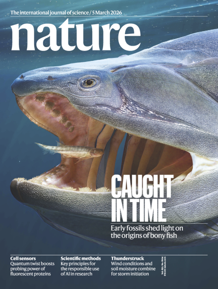 Volume 651 Issue 8104