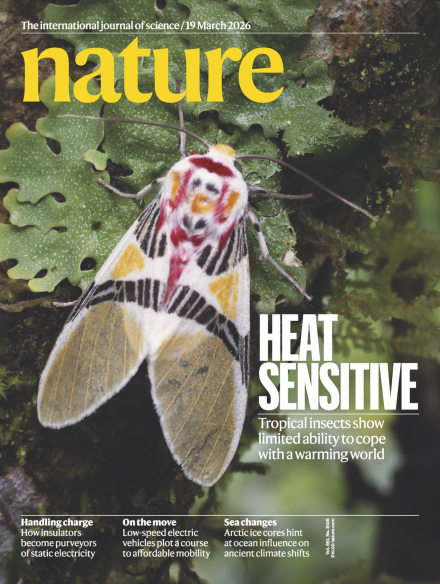 Volume 651 Issue 8106