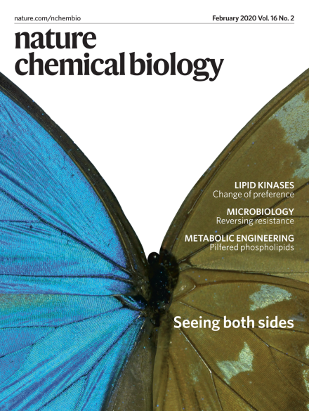 Volume 16 Issue 2, February 2020 