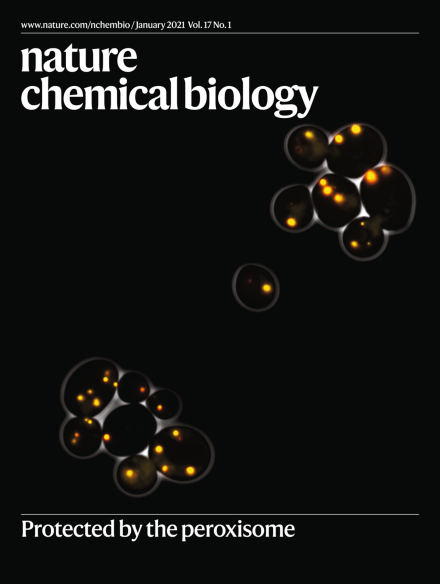 Volume 17 Issue 1, January 2021