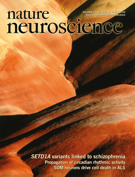 Nature Neuroscience - Volume 19 Issue 4, April 2016