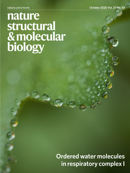 Volume 27 Issue 10, October 2020