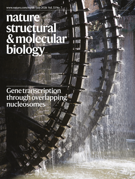 Nature Structural & Molecular Biology, Volume 33 Issue 7, July 2026 cover