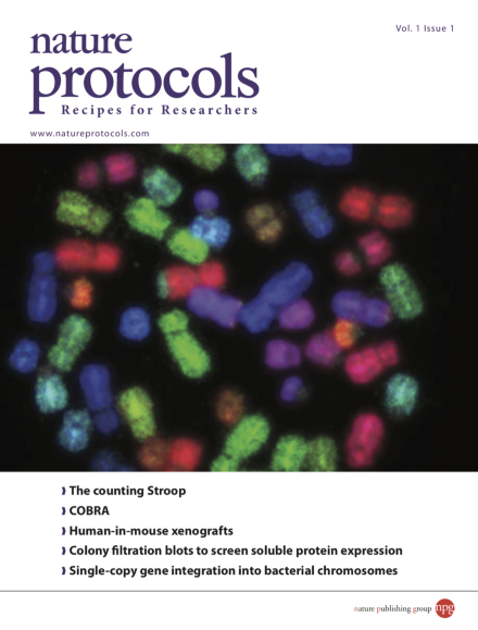Volume 1 Issue 1, June 2006