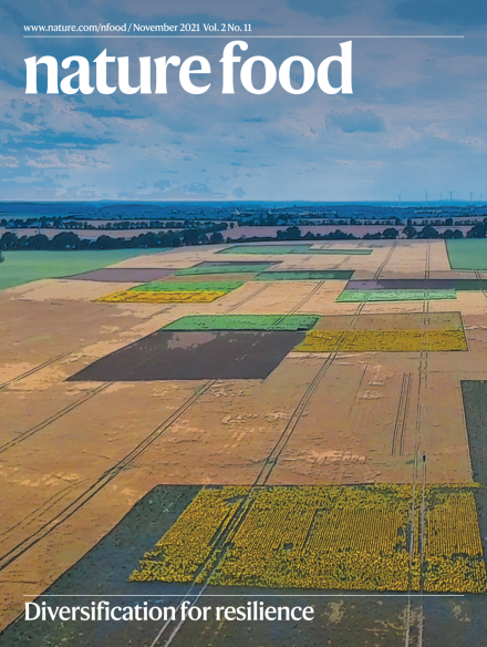 Volume 2 Issue 11, November 2021