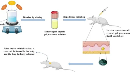 Updates | Drug Delivery and Translational Research | Springer Nature Link