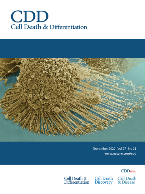 Cell Death & Differentiation