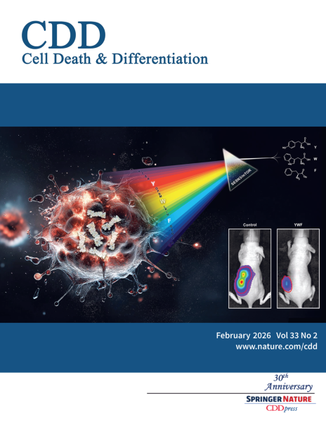nature journal cover