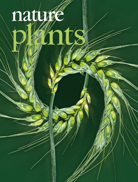 nature journal cover