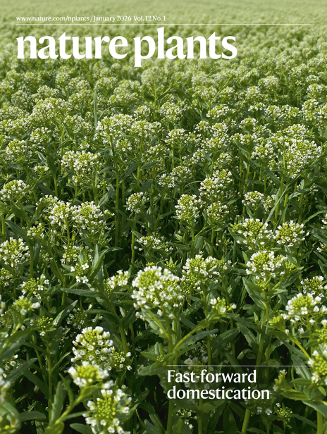 nature journal cover