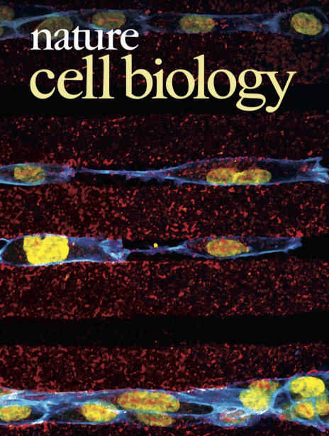 nature journal cover