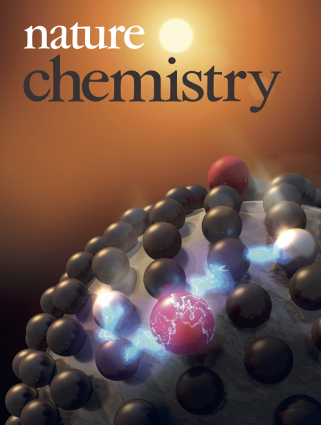 nature journal cover