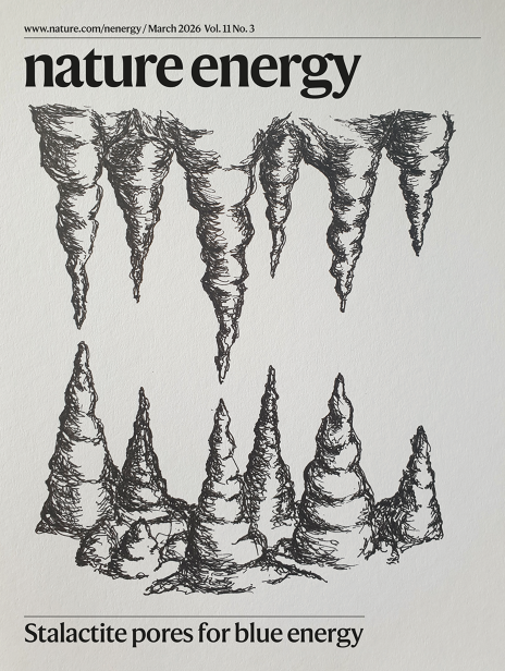 nature journal cover